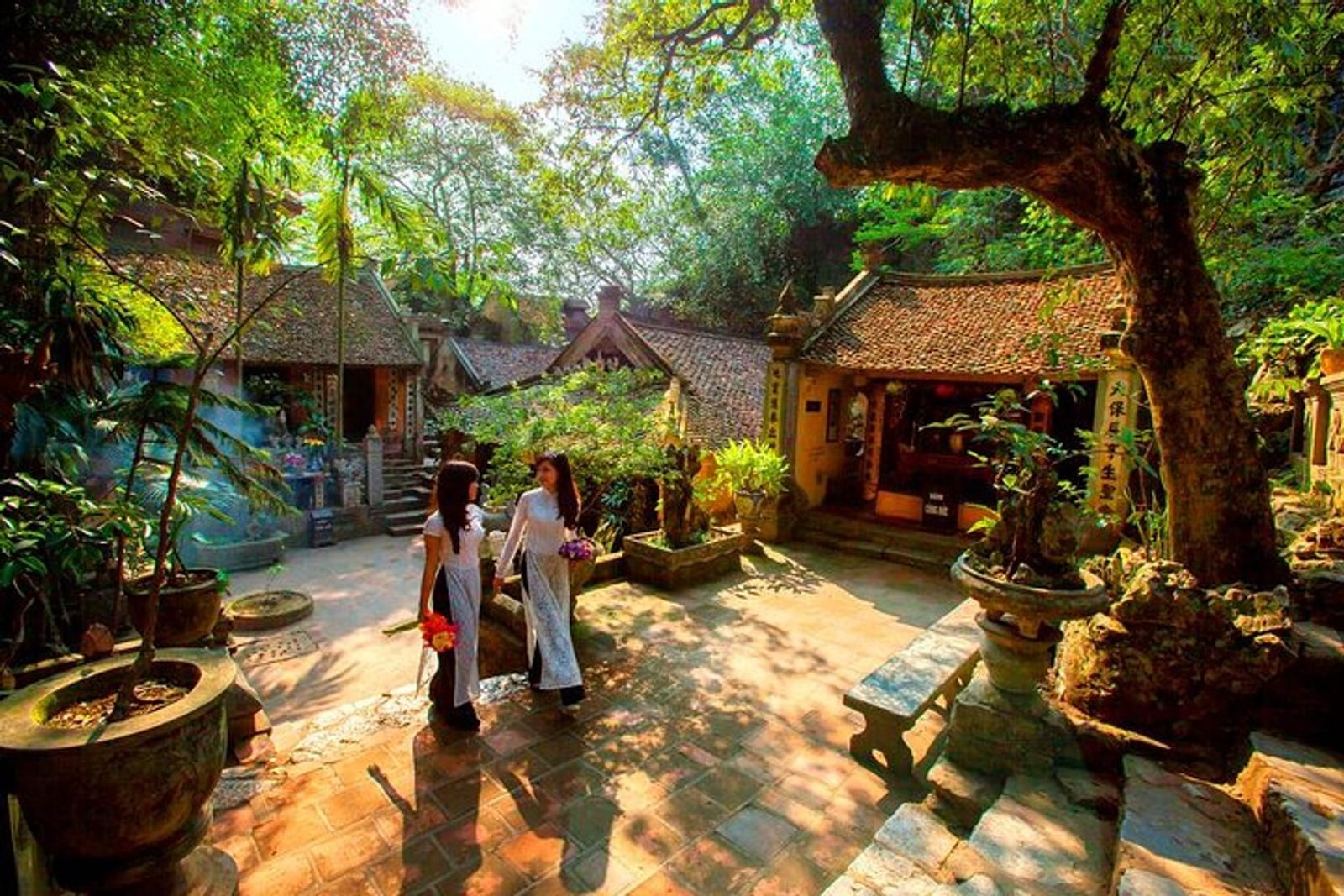 Cycle Tour Hanoi Thay Tay Phuong Pagoda 1 Day